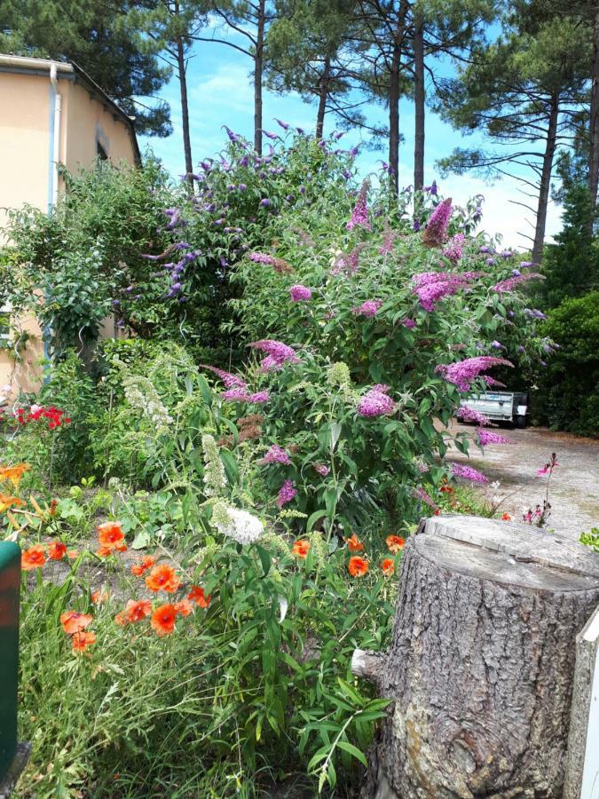Le Relais de la Praya Bed & Breakfast Lege-Cap-Ferret Bagian luar foto